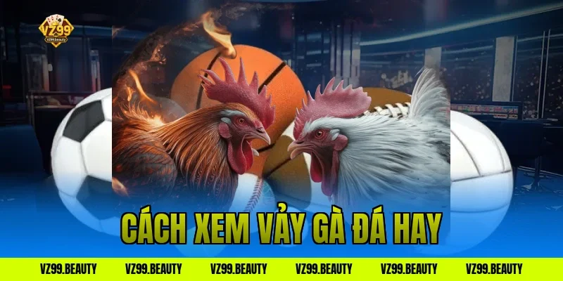 cách xem vảy gà đá hay