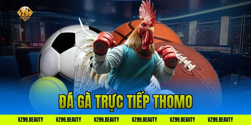 đá gà trực tiếp thomo