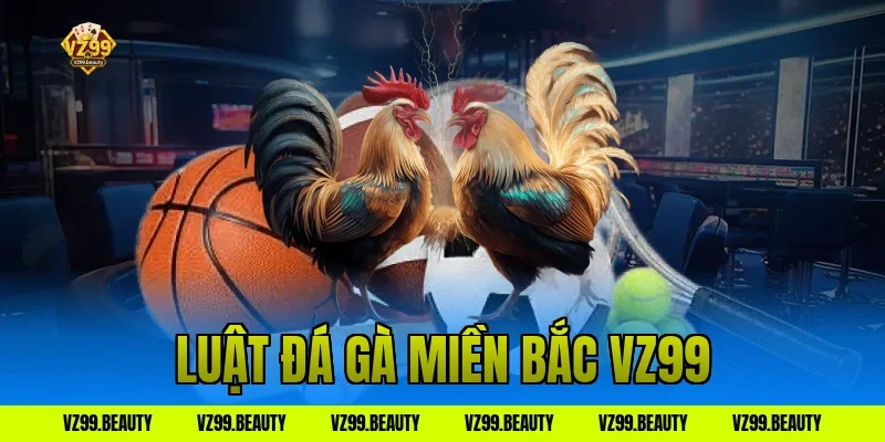 luật đá gà miền bắc vz99